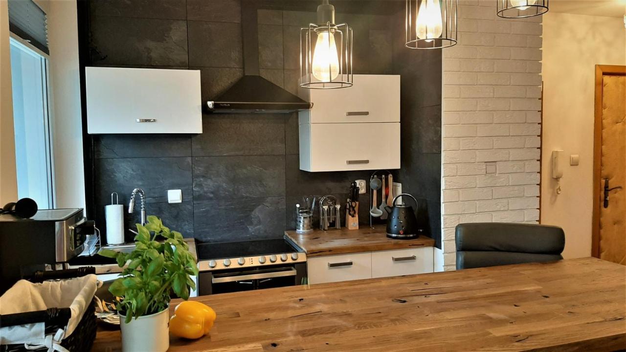 Studio Mila I Nido W Centrum Apartzakop Закопане Екстериор снимка