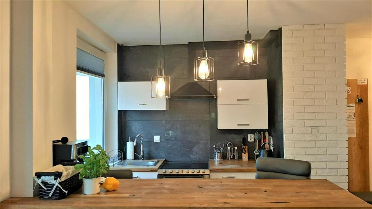 Studio Mila I Nido W Centrum Apartzakop Закопане Екстериор снимка