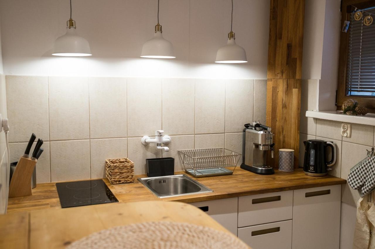 Studio Mila I Nido W Centrum Apartzakop Закопане Екстериор снимка