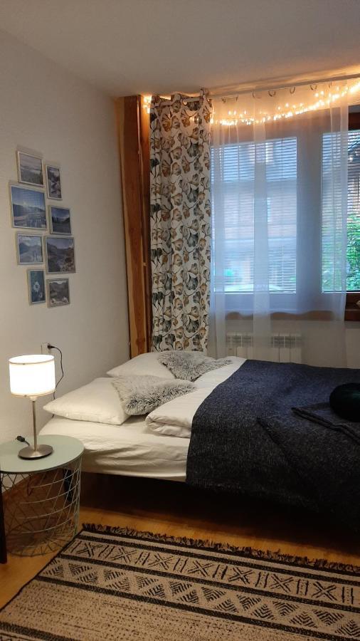 Studio Mila I Nido W Centrum Apartzakop Закопане Екстериор снимка
