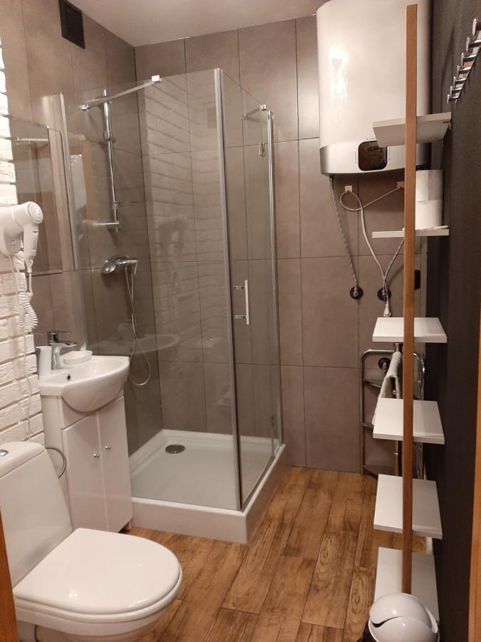 Studio Mila I Nido W Centrum Apartzakop Закопане Екстериор снимка